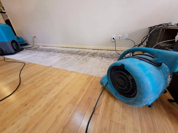 Professional Water Removal technician working in Ladonia, AL